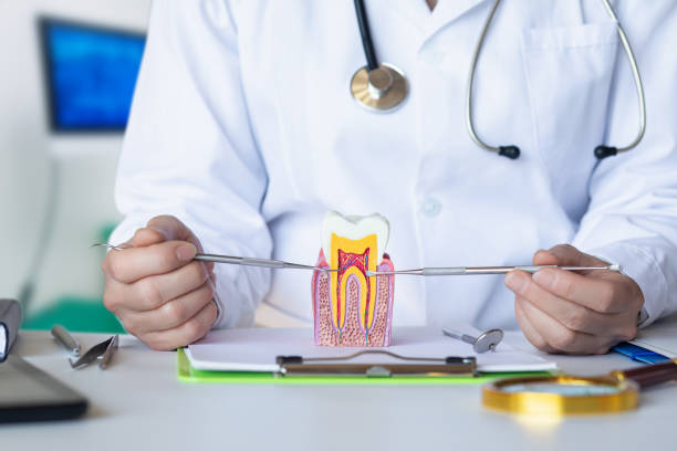 Best Pediatric Emergency Dentist in Lynn, IN